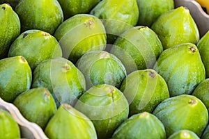 Background ripe figs without GMOs