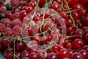 background of ripe juicy berries of red currants, raspberries and cherries. Close-up plan view from above