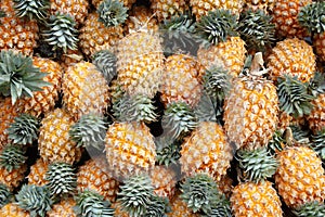 The background of ripe pineapples