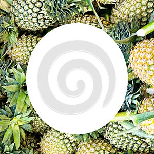 Background of ripe pineapples. There is free space for text