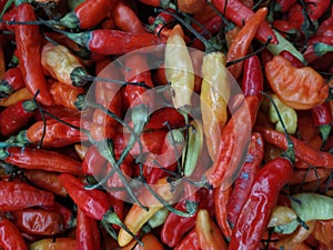 Ripe red hot chili papper at the market