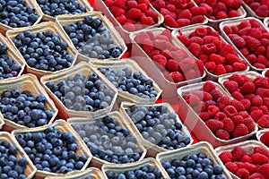 Background of ripe red raspberries