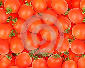 Background of ripe red tomatos