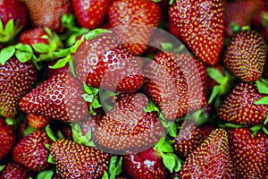 Background of ripe strawberry