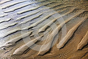 Background of rippled sandy beach