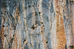 Background of rock wall close up