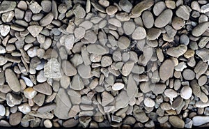 Background of rocks