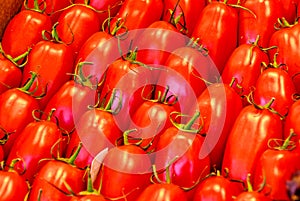 Background Roma tomatoes