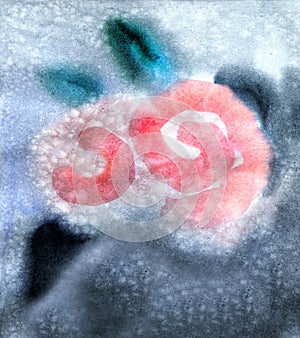 Background with rose