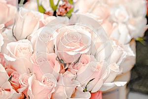 Background of rose bouquets for your loved ones