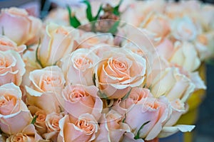 Background of rose bouquets for your loved ones