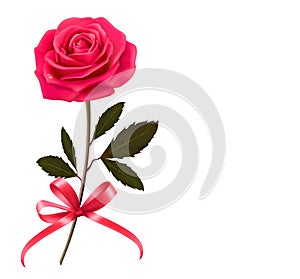 Background with rose and a bow. photo