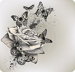 Background with rose and butterflies flying. Vecto