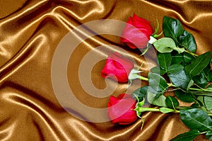 Background roses on fabric
