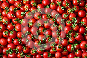 Background of round ripe small cherry tomatoes with green ponytails