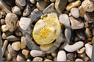 Background with round stones pattern