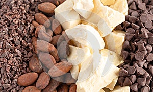 Background of Rows of Chocolate Nibs Cocoa Beans Cocoa Butter and Chocolate Chips