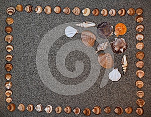 A background of sand and seashells with a place for copying and writing, a romantic marine background with a place to write, shell