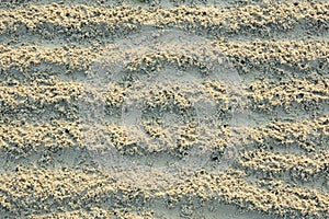 sandbeach surface