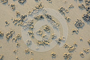 sandbeach surface