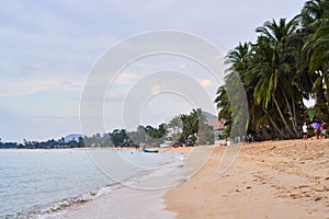 Background, sandy ocean coast island of Koh Samui