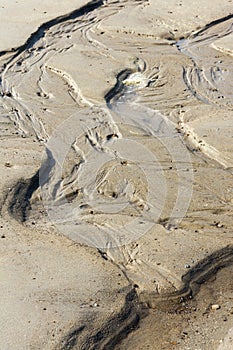 Background of sandy structures in wet sand on the beach in wave patterns