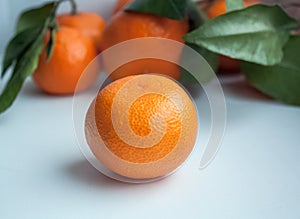 Background screen saver tangerines, fruits, new year theme