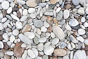 Background from sea pebble. Small stones, top view