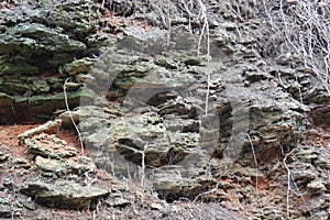 Background of sea shell rock