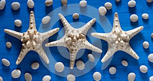 Background of sea shells and starfish