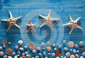 Background of sea shells and starfish