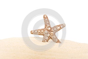 Background with sea star and sands isolated