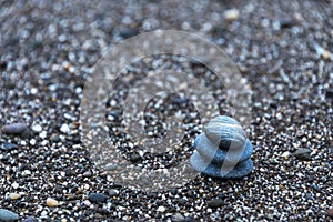 Background with sea stones