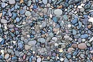 Background with sea stones