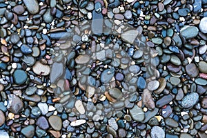 Background with sea stones