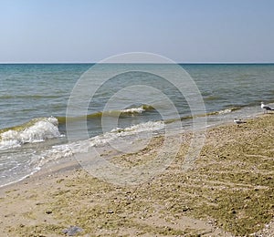 Background: sea waves roll ashore