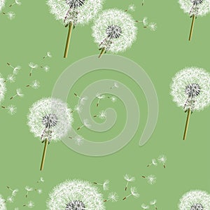 Background seamless pattern with dandelion