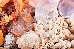 Background of seashells and amber gem