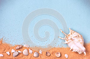 Background with seashells, sand, empty space for text