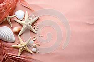 Background with seashells, starfish and palm leaves. Summer vacation on beach, travel and holiday concept