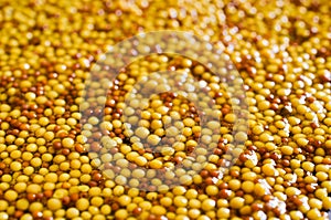Background of seeds of mustard