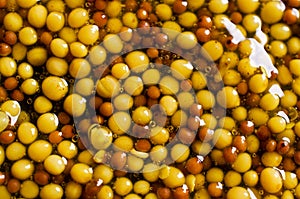 Background of seeds of mustard