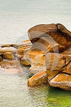 Background set of stones large winded corrosion covered dry white shells on the background of the sea