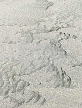 Background - Shadowed Ridges form this Sand Pattern