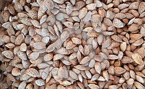 Background of shelled almonds. Seets texture background.