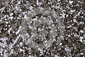 Background of shells and various pebbles. Screen background.Background of shells and various pebbles.