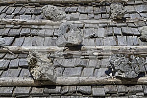 Background - shingle on a roof