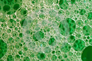 Detergent bubbles