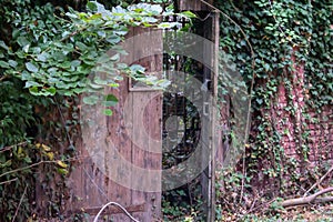 background that shows details of an abandoned house with an old door now invaded by plants. photo