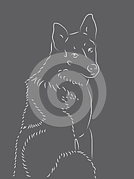 Silhouette of a dog2